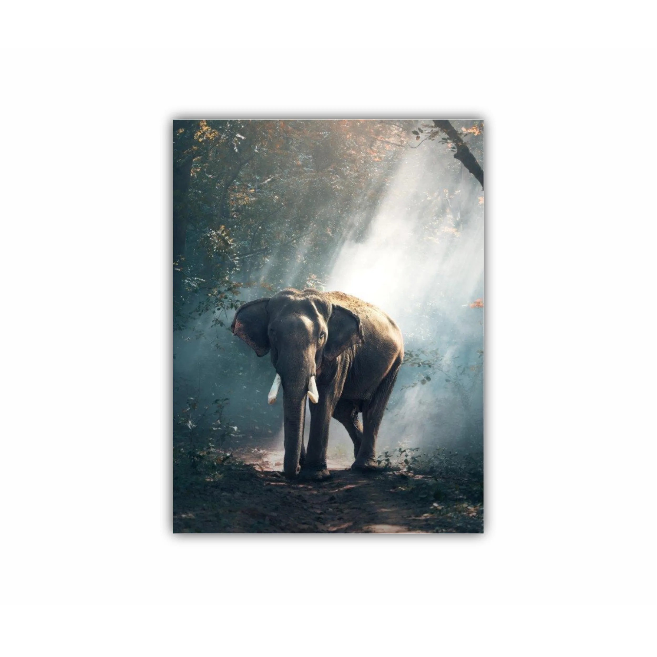 Elefant