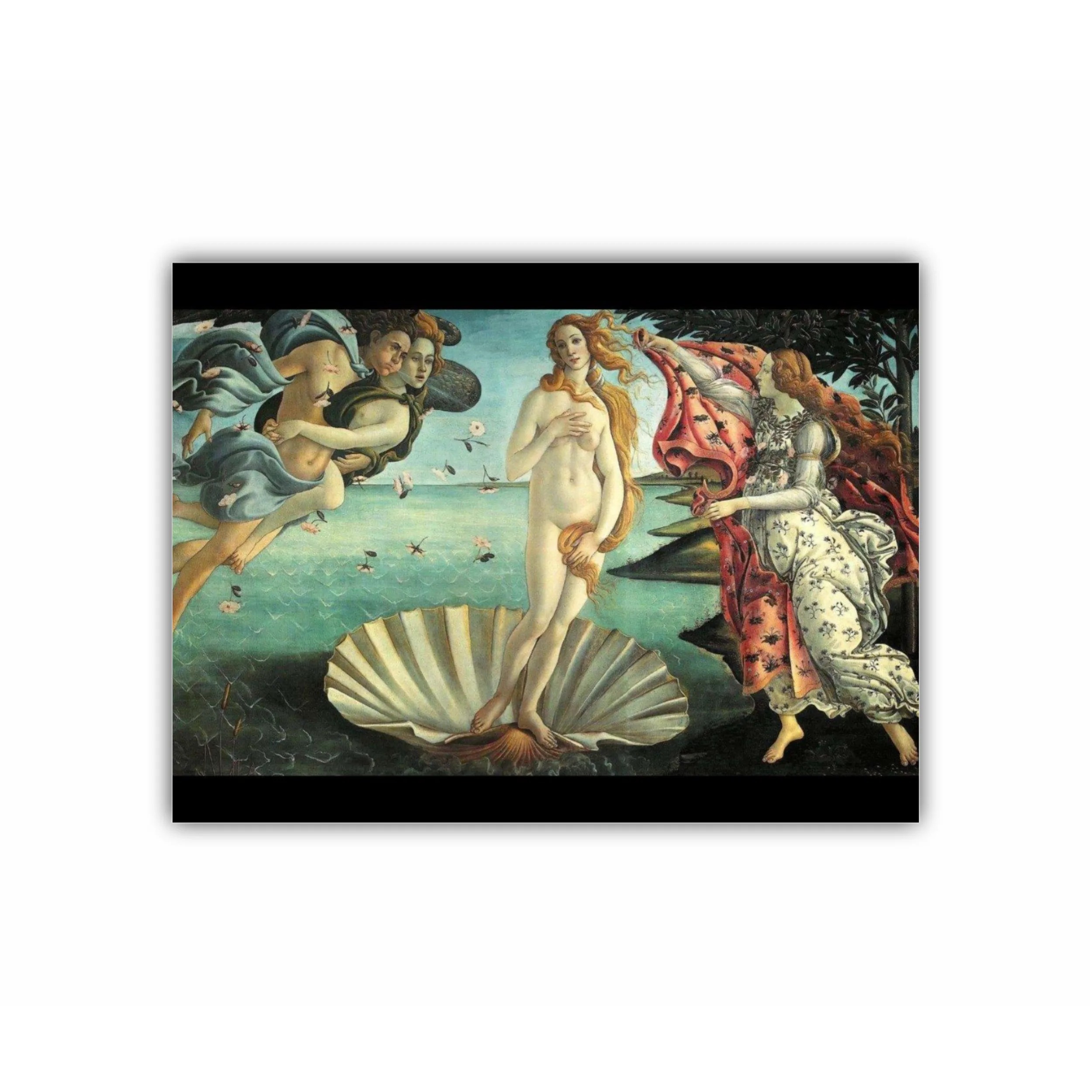 The Birth of Venus (copy)