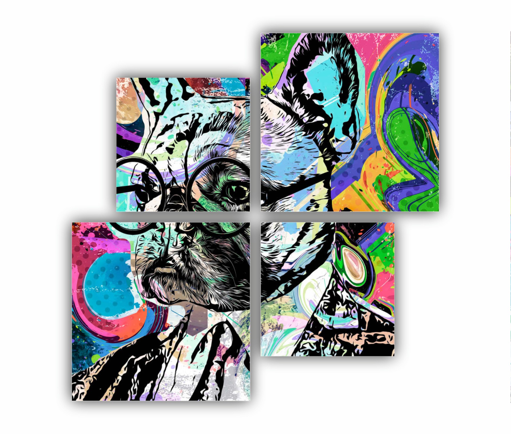 ANIMALS - colorat - bulldog -pictura abstracta 3