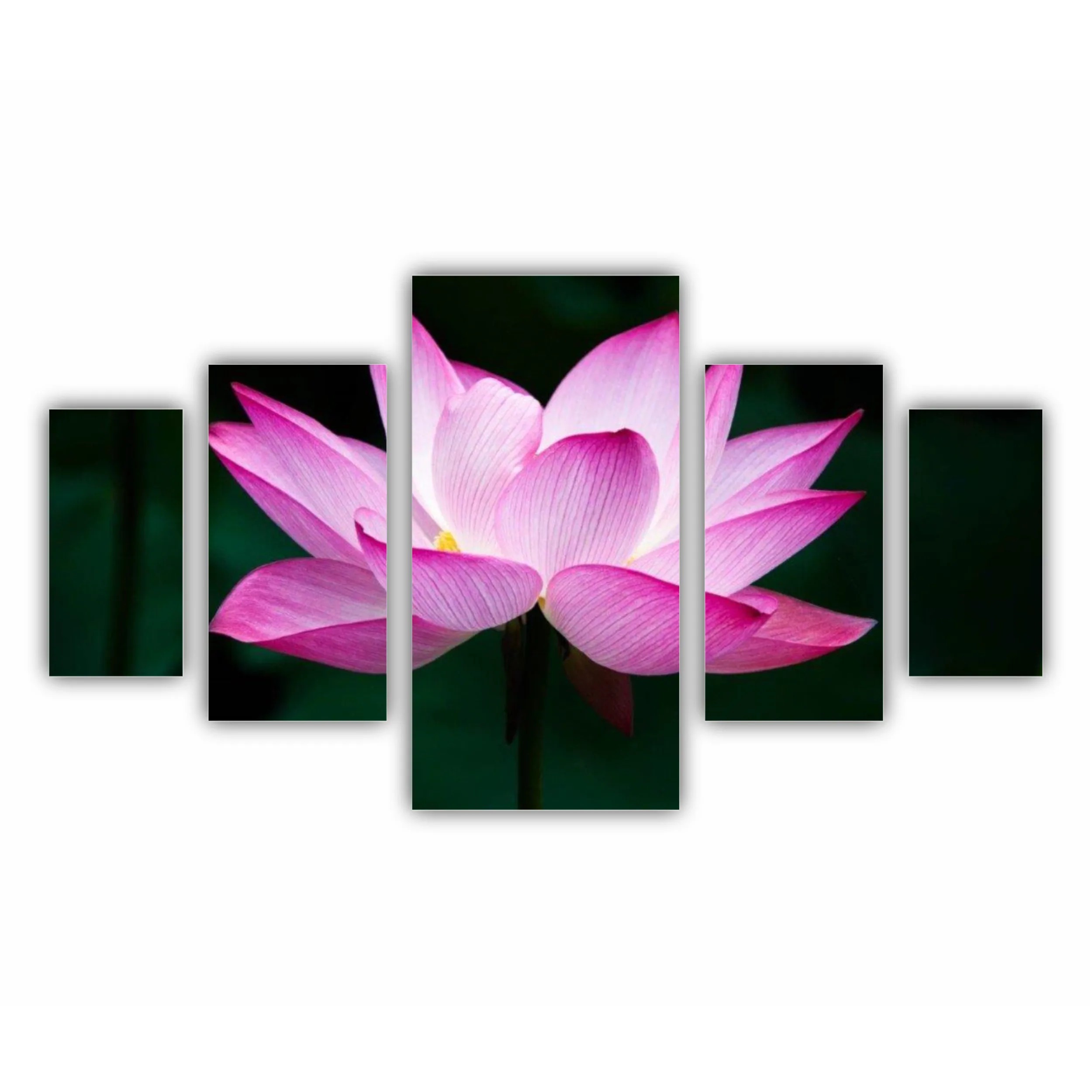 Floarea de lotus