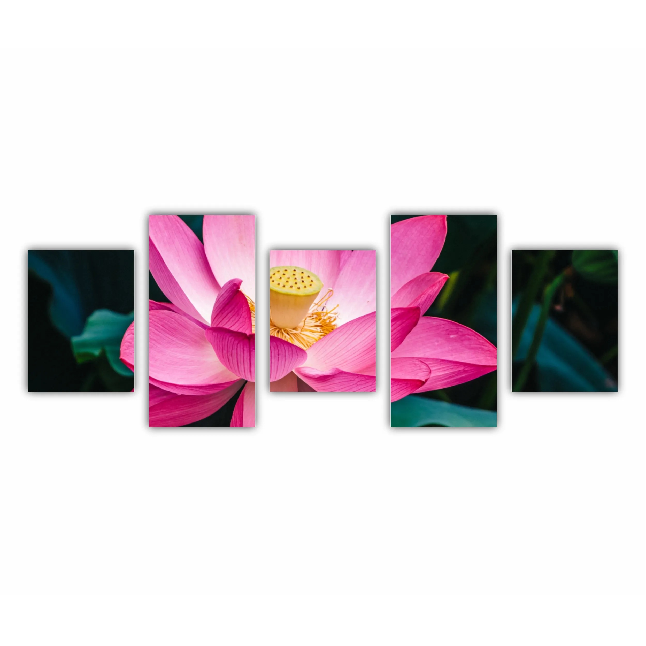 Floarea de lotus